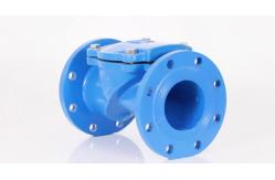 China Dn50 - Dn600 Industrial Control Valves , Odm Ss Check Valve supplier