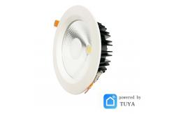 China Zigbee Changeable Smart LED Downlights RGBCW 20W-40W 90° Beam Angle supplier