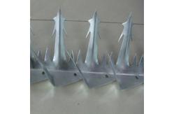 China Large Blade 1mm 2mm Anti Theft Fence Spikes Anti Climb Wall Spikes Rustproof supplier