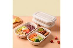 China Take Away Compostable Sugarcane Container Lunch 2 Compartment Food Containers supplier