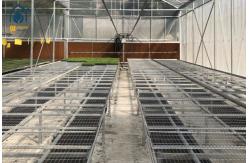 China Stackable Galvanized Mesh Seed Bench Agriculture Rolling Tables For Greenhouse supplier
