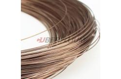 China Beryllium Copper CuBe2 In Wire Form Used In Electrical Industry supplier
