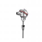 Customized Armored Explosion-proof Thermocouple Temperature Instruments for Industrial for sale