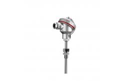 China Customized Armored Explosion-proof Thermocouple Temperature Instruments for Industrial supplier