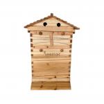 Chinese Fir Wood Auto Beehive Wax-Coated Unassembled Bee Hives Honey Flow Automatic for sale