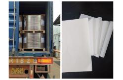 China FSC Inkjet Printing Woodfree Paper For Notebook Virgin Pulp 610mm 860mm supplier