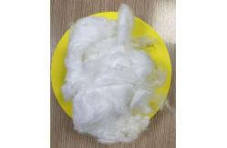 China High Softness Polylactic Acid Fiber 15D 38mm supplier