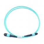Flexible and Durable Fiber Optic Patch Cord with MPO Connector for Versatile Network Applications for sale