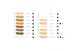 China Permanent Makeup Ink For Eyebrows Correction Base Pigment supplier