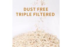 China 6L Plant Dust Free Cat Litter Degradable Cat Litter No Dust Clumping supplier