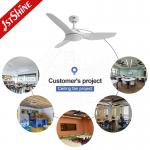 3 ABS Plastic Blades DCF-FS52920 DC Motor Ceiling Fan Natural Wind