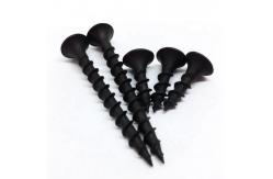 China Galvanized Gypsum Black Dry Wall Screw Black Coarse Thread Screw supplier