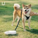 China 5M Long Extendable Dog Leash Traction Dorsal Automatic Retractable Dog Leash manufacturer