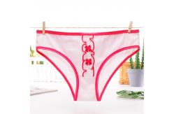 China OEM open Cheap price girls sexy bikini photo supplier