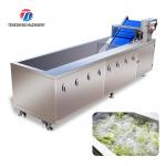 Tengsheng Fruit And Vegetable Washing Machine Pests Eliminating Saint Dragon Fruit for sale
