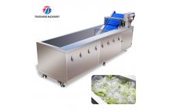 China Tengsheng Fruit And Vegetable Washing Machine Pests Eliminating Saint Dragon Fruit supplier