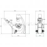 100X - 400X Inverted Phase Contrast Microscopy Trinocular A19.0205