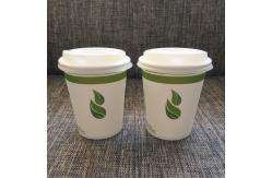 China Pla Coffee Biodegradable And Compostable Tableware Paper Cups 16oz Double Wall With Lids supplier