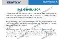 China House Use 5.5KW Natural Gas Generator Three Phase Customized supplier