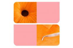 China Multifunctional Office Chair Pad , Animal Shape Replacement Chair Cushions supplier