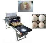 Black Ink Cartridge And Best Service Egg Marking Equipment / Egg Printer Machine for sale