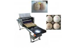 China Automatic Egg Jet Coding Machine With Non - Toxic Environmental Protection Ink supplier