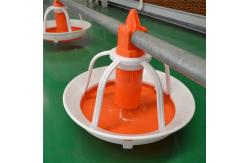 China Automatic 75-100cm Poultry Pan Feeding System For Ducks Drinker supplier