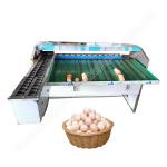 Chicken Farm Classifier Chicken Farm Grading Machine Chicken Egg Sorting Machine Egg Weight Sorting Machine for sale