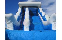 China Customized Size 0.55mm Summer Commercial Inflatable Slide With Pool supplier