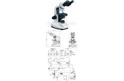 China 1000x Metal Polarizing Light Microscope Halogen Lamp Microscopes A15.0201 supplier