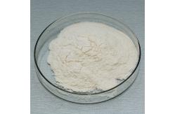 China 10000U/G Cellulase Enzyme FSSC22000, MUI, Kosher system certification, customized enzyme activity specifications supplier