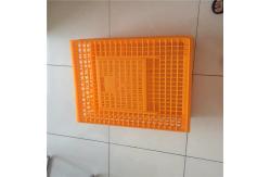 China Plastic crates for the transfer of chickens supplier