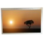 8.0 inch TX20D208VM0BAB LCD Industrial panel for sale