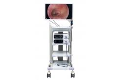 China Medical HDMI Full HD Endoscope Camera System Tower DJSXJ-IIa supplier