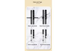 China Biometric Aluminium Front Door Locks Bluetooth Automatic Electronic Door Lock supplier