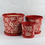 Unique Ceramic Pots For Distinctive And Eye-catching Plant Collection