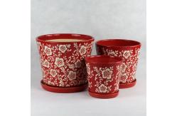 China Unique Ceramic Pots For Distinctive And Eye-catching Plant Collection supplier