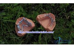 China Dental PFM Crown manufacturer