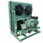 Customizable design Cooling system Refrigeration Condensing Unit for sale