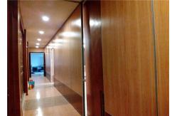 China Aluminum Sound Proof Movable Partitions Wall supplier