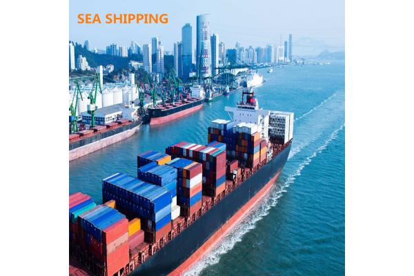 Cargo Duty Included Freight Shipping From China To USA