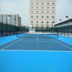 Non Pollution Polyurethaning Outdoor Sports Surfaces High Elasticity for sale