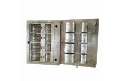 China Custom 0.01mm H13 High Precision Mold EPS Foam Mould supplier