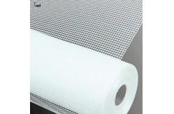 China White Alkali Resistant Glass Fiber Mesh C Glass Fiberglass Plastering Mesh 2m Width supplier