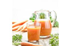 China SUS304 Industrial Fruit Processing Equipment Automatic Carrot Juice Extractor Machine supplier