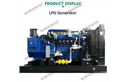 China 250KW Blue LPG Gas Generator Powered By Yuchai LPG Gas Engine supplier