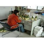 Pre - Shipment  Final Electrical Inspection Effective Widely Adopted Quality Control Method for sale