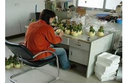 China Pre - Shipment  Final Electrical Inspection Effective Widely Adopted Quality Control Method supplier