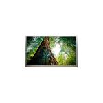 6.5 inch QM065HS04-1 720*1600 LCD Touch Screen original for sale