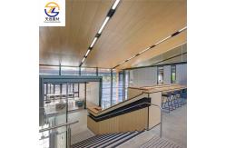 China Steel Interior PVDF Aluminium Cladding Tiles 1200mm Perforated Metal Ceiling supplier